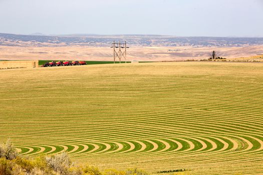 Farmland with contoured planting for pivot irrigation showing the alternating curved pattern allowing for the rotation of the wheeled sprinkler trusses