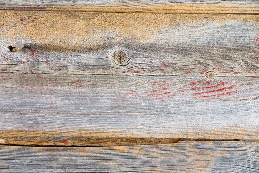 Old dry weathered wood background texture with cracked planks with wood grain and a few sparse remnants of red paint, full frame