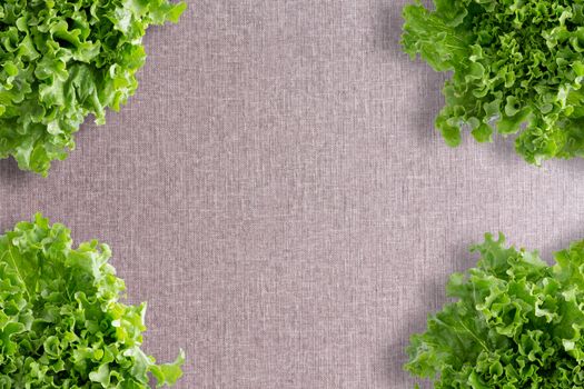 Crisp fresh frilly green lettuce corner border over a neutral beige linen textile with central copyspace viewed from above