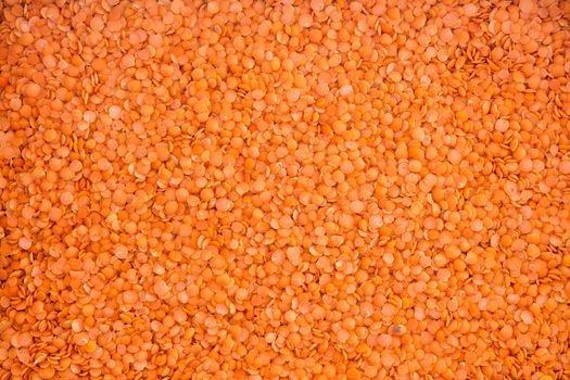 Food background of dried red lentil seeds, a nutritious legume popular in vegan and vegetarian diets