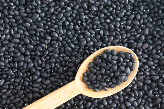 Bacground texture of healthy black beans, Phaseolus vulgaris, a variety of kidney bean with a rustic wooden kitchen spoon lying diagonally angled in the frame