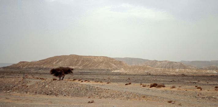 Egyptian Desert And Mysty Sky In The Daylight