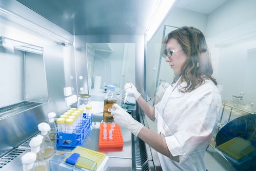 Female life scientist researching in laboratory, pipetting cell culture medium samples in laminar flow. Photo taken from laminar interior.