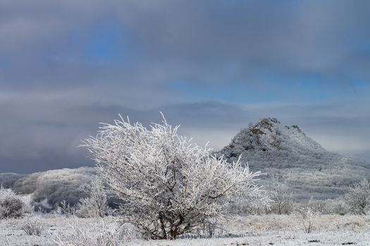 Beauty Snowy Tree with Frozen Branches on Mount Beshtau and Dramatic Blue Cloudy Sky background Outdoors