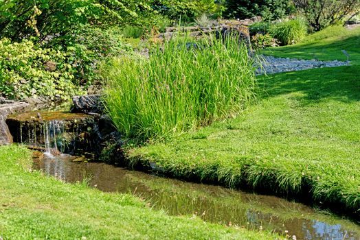 Stream at botanical garden at Oslo Norway