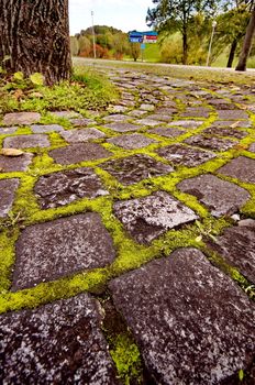 Moss between rocks