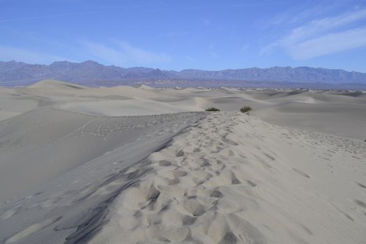 Mesquite flat sand dunes in the middle of the Death Valley national Park