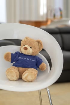 Teddy Bear, sitting on a modern chair.