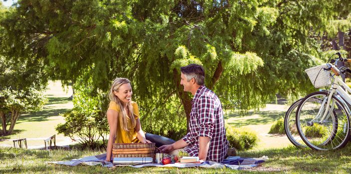 Couple having a picnic in the park on a sunny day