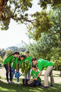 Environmental activists planting a tree in the park on a sunny day