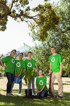 Environmental activists planting a tree in the park on a sunny day