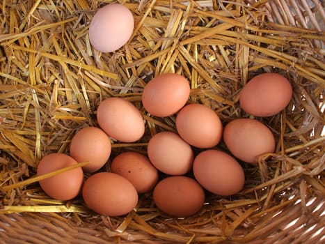 Fresh organic brown eggs basket in a market   