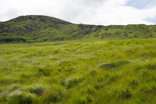 mountain view from the kerry way walk in ireland