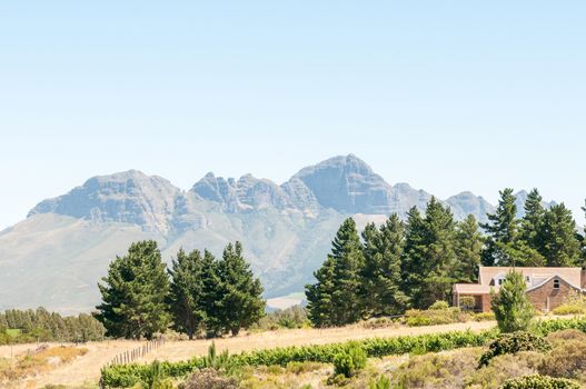 The Helderberg (clear mountain)  near Somerset West in the Western Cape Province of South Africa