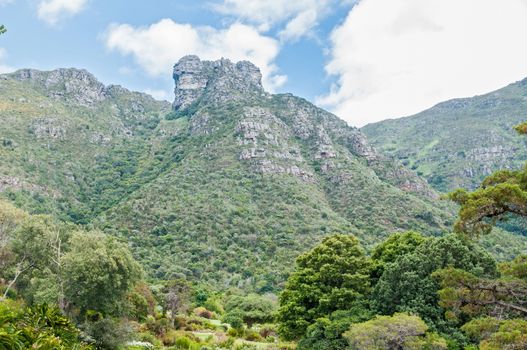 Castle Rocks on Table Mountain as seen from Botanical Gardens