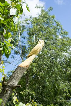 owl tree engraving in tarbert park on the wild atlantic way ireland