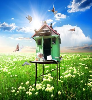 Doves over dovecote in sunny spring day