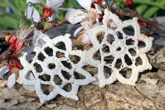 Handmade knitted white earrings with apricot blossom in spring on the nature background