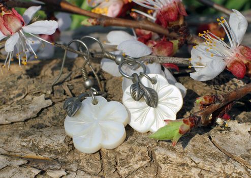 Handmade bone earrings with apricot blossom in spring on the nature background