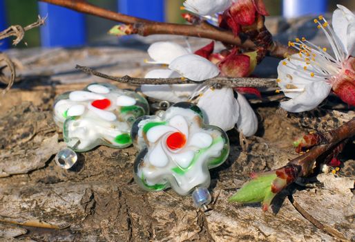 Handmade glass earrings with apricot blossom in spring on the nature background
