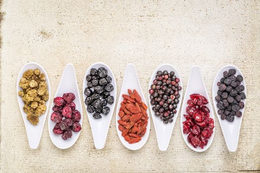 healthy dried berry collection (blueberry, mulberry, cherry, goji, elderberry, chokeberry,) cranberry on  ceramic spoons against rustic barn wood with a copy space