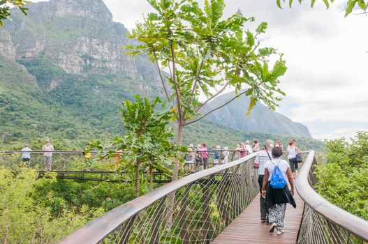 CAPE TOWN, SOUTH AFRICA - DECEMBER 9, 2014: Unidentified people on the Kirstenbosch Tree Canopy Walkway called the Boomslang (Tree Snake), winding for 130 meters like a snake 12 meters above the ground