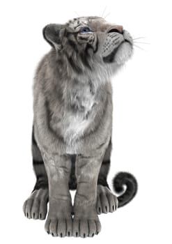 3D digital render of a white tiger isolated on white background