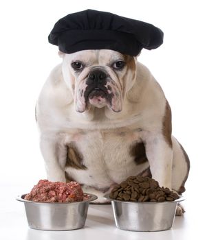 feeding your pet - concept of choosing between raw and kibble