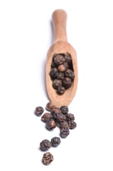 Black peppercorns isolated on white background