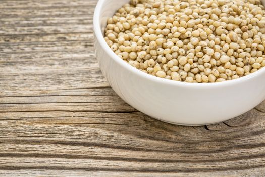 gluten free, white sorghum grain in a small ceramic bowl against grained wood