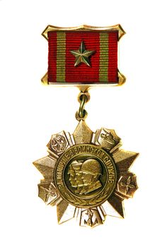 Medal "For Distinction in Military Service» I degree on a white background