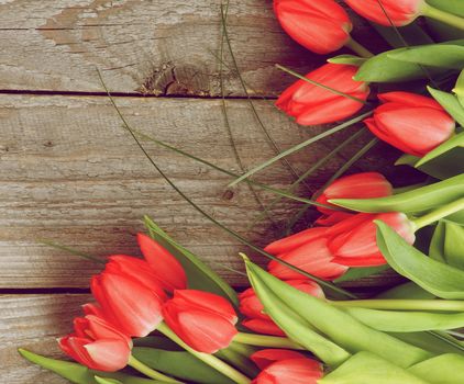 Corner Frame of Beautiful Spring Red Tulips with Green Grass isolated on Rustic Wooden background. Retro Styled