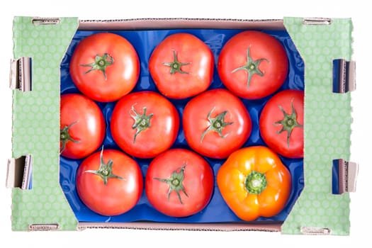 Conceptual Fresh Nine Red Tomatoes and a Yellow Bell Pepper on a Blue Tray Inside a Cardboard Box. Isolated on a White Background, High Angle View.