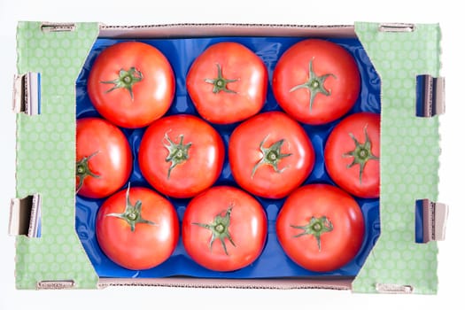 Ten Organic Red Tomatoes on a Blue Tray Inside a Cardboard Box, Isolated on White background. Captured in High Angle View.