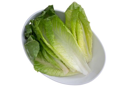 Close up Clean Washed Fresh Healthy Romaine Lettuce on White Bowl, Isolated on White Bowl