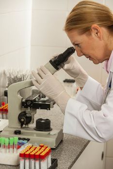 woman looking from the microscope