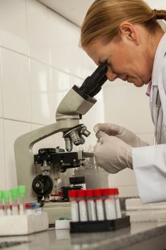 woman looking from the microscope