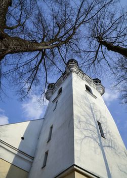 background church tower among the old lime trees