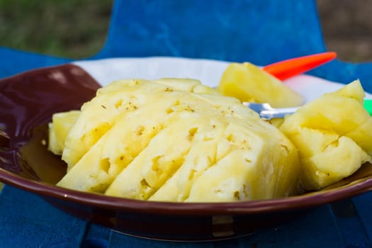 Pineapple Place on a plate