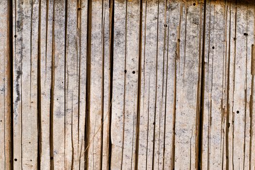 dry bamboo wood background, background and texture