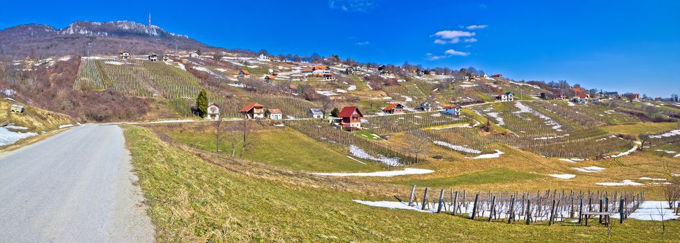 Kalnik mountain vineyards and cottages panorama, Prigorje, Croatia