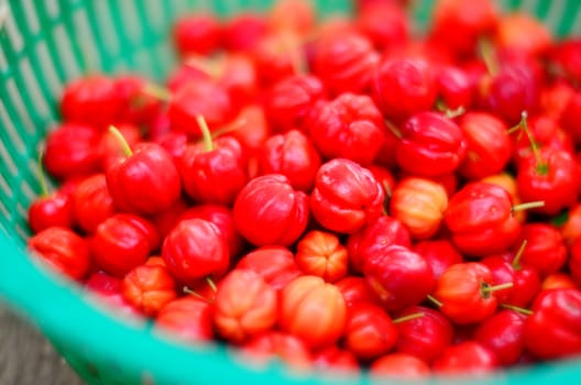 Fresh cherry in basket