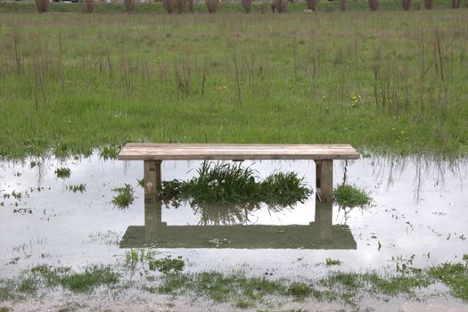 Bench in flooded field