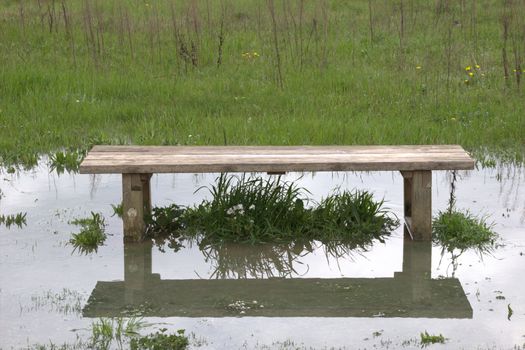 Bench in flooded field