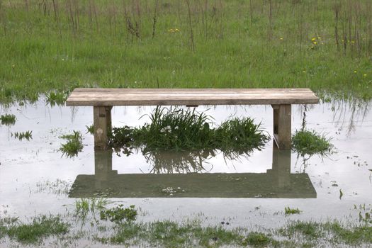 Bench in flooded field