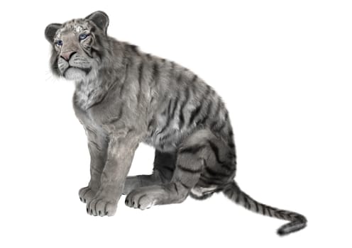 3D digital render of a white tiger isolated on white background