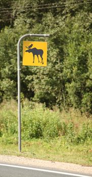 sign indicating the risk of elk