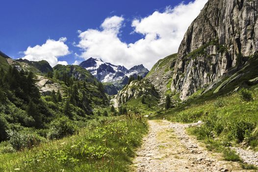 landscape of the italian Alps in summer season from mountain path with blue sky and clouds background