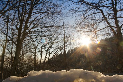 the sun through the trees, with snow in the lower part of the picture