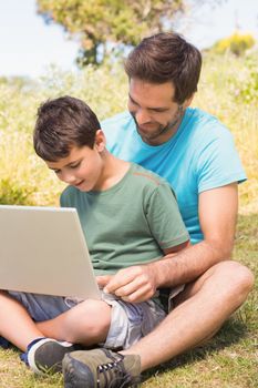 Father and son in the countryside using laptop on a sunny day